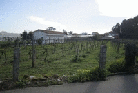 Terreno vendita in Pontevedra. 